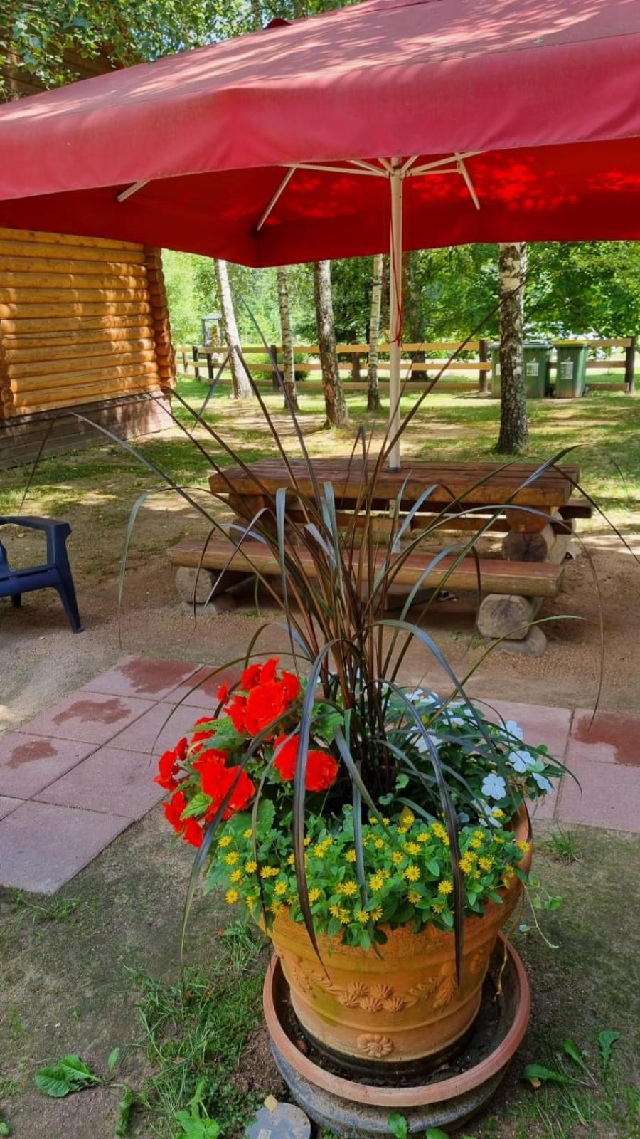 Camping Oskalns Cēsis Esterno foto